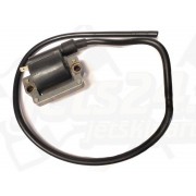 Ignition coil (PTO)