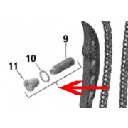 Camshaft chain tensioner with screw