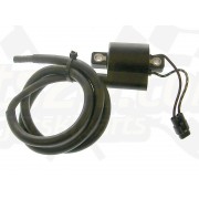 Ignition coil # 3