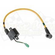 Ignition coil assy
