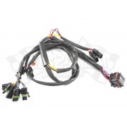 Wire harness, steering