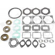 Gasket kit, complete with seals