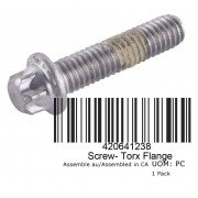 Flanged Torx Screw M6x25