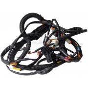 Wire harness, main
