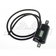 Ignition coil (LH)